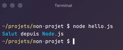 Capture du terminal
